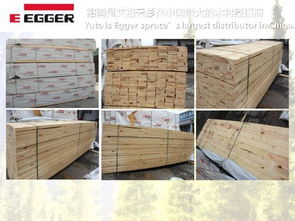 建材原木產(chǎn)業(yè)生態(tài)鏈 從原木品牌到家具供應(yīng)的全方位解讀