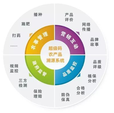 智慧農業三大方向與三大發展模式 賦能現代農業的品牌管理之道